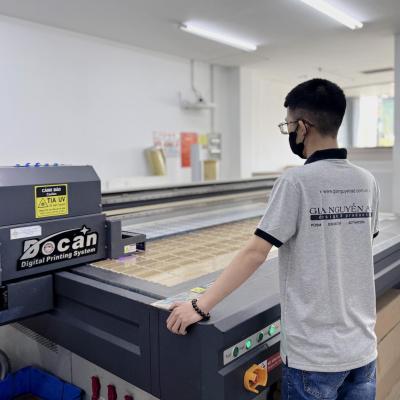 Gia Nguyen A.P.T F24